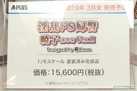 画像　フィギュア　サンプル　レビュー　ワンダーフェスティバル 2019［冬］ エイプラス A+  11