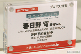 画像　フィギュア　サンプル　レビュー　ワンダーフェスティバル 2019［冬］ アルファマックス スカイチューブ 05