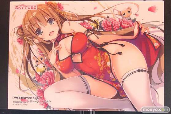 画像　フィギュア　サンプル　レビュー　ワンダーフェスティバル 2019［冬］ アルファマックス スカイチューブ 25