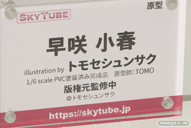 画像　フィギュア　サンプル　レビュー　ワンダーフェスティバル 2019［冬］ アルファマックス スカイチューブ 26
