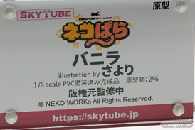 画像　フィギュア　サンプル　レビュー　ワンダーフェスティバル 2019［冬］ アルファマックス スカイチューブ 48
