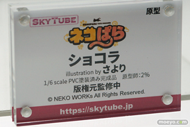 画像　フィギュア　サンプル　レビュー　ワンダーフェスティバル 2019［冬］ アルファマックス スカイチューブ 49