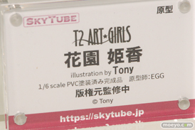 画像　フィギュア　サンプル　レビュー　ワンダーフェスティバル 2019［冬］ アルファマックス スカイチューブ エロ キャストオフ 15