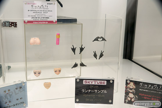画像　フィギュア　サンプル　レビュー　ワンダーフェスティバル 2019［冬］ アルファマックス スカイチューブ エロ キャストオフ 28