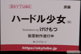画像　フィギュア　サンプル　レビュー　ワンダーフェスティバル 2019［冬］ アルファマックス スカイチューブ エロ キャストオフ 35