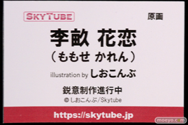 画像　フィギュア　サンプル　レビュー　ワンダーフェスティバル 2019［冬］ アルファマックス スカイチューブ エロ キャストオフ 37