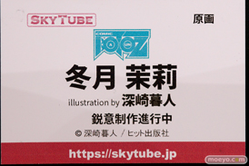 画像　フィギュア　サンプル　レビュー　ワンダーフェスティバル 2019［冬］ アルファマックス スカイチューブ エロ キャストオフ 39