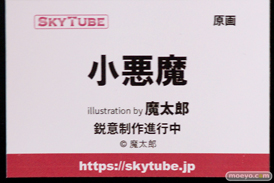 画像　フィギュア　サンプル　レビュー　ワンダーフェスティバル 2019［冬］ アルファマックス スカイチューブ エロ キャストオフ 43