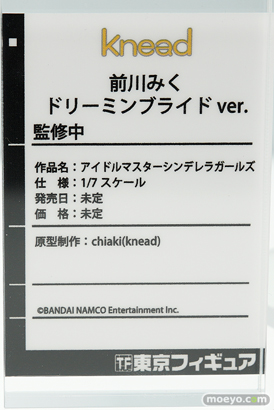 画像　フィギュア　サンプル　レビュー　ワンダーフェスティバル 2019［冬］ 東京フィギュア 35