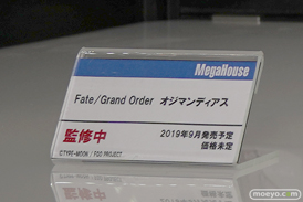 画像　フィギュア　サンプル　レビュー　ワンダーフェスティバル 2019［冬］ メガハウス 11