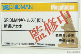 画像　フィギュア　サンプル　レビュー　ワンダーフェスティバル 2019［冬］ メガハウス 23
