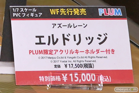 画像　フィギュア　サンプル　レビュー　ワンダーフェスティバル 2019［冬］プラム 06