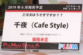 画像　フィギュア　サンプル　レビュー　ワンダーフェスティバル 2019［冬］プラム 09