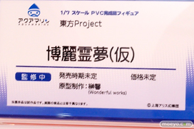 画像　フィギュア　サンプル　レビュー　ワンダーフェスティバル 2019［冬］ アクアマリン 17