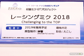 画像　フィギュア　サンプル　レビュー　ワンダーフェスティバル 2019［冬］ アクアマリン 31