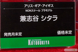 画像　フィギュア　サンプル　レビュー　ワンダーフェスティバル 2019［冬］ コトブキヤ 29