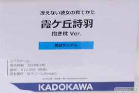 画像　フィギュア　サンプル　レビュー　ワンダーフェスティバル 2019［冬］ KADOKAWA 27