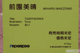 画像　フィギュア　サンプル　レビュー　ワンダーフェスティバル 2019［冬］ ネイティブ エロ キャストオフ 41