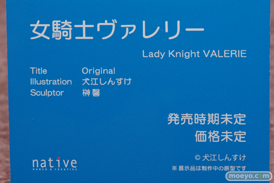 画像　フィギュア　サンプル　レビュー　ワンダーフェスティバル 2019［冬］ ネイティブ エロ キャストオフ 45