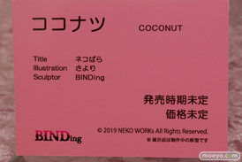 画像　フィギュア　サンプル　レビュー　ワンダーフェスティバル 2019［冬］ ネイティブ エロ キャストオフ 49