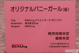 画像　フィギュア　サンプル　レビュー　ワンダーフェスティバル 2019［冬］ ネイティブ エロ キャストオフ 23