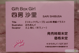 画像　フィギュア　サンプル　レビュー　ワンダーフェスティバル 2019［冬］ ネイティブ エロ キャストオフ 39