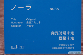 画像　フィギュア　サンプル　レビュー　ワンダーフェスティバル 2019［冬］ ネイティブ エロ キャストオフ 43