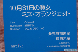 画像　フィギュア　サンプル　レビュー　ワンダーフェスティバル 2019［冬］ ネイティブ エロ キャストオフ 48