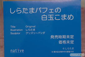 画像　フィギュア　サンプル　レビュー　ワンダーフェスティバル 2019［冬］ ネイティブ エロ キャストオフ 04
