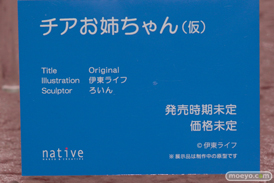 画像　フィギュア　サンプル　レビュー　ワンダーフェスティバル 2019［冬］ ネイティブ エロ キャストオフ 11