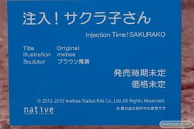 画像　フィギュア　サンプル　レビュー　ワンダーフェスティバル 2019［冬］ ネイティブ エロ キャストオフ 59