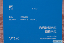 画像　フィギュア　サンプル　レビュー　ワンダーフェスティバル 2019［冬］ ネイティブ エロ キャストオフ 61