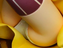 「ワンダーフェスティバル 2019［冬］」 様々なディーラーブースの様子「おなす」「しばいぬー」「太平天国」