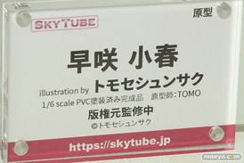 スカイチューブ 早咲小春 illustration by トモセシュンサク TOMO エロ フィギュア キャストオフ 11