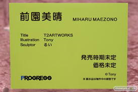 プログレス T2ARTWORKS 前園美晴 Tony るい フィギュア エロ 14