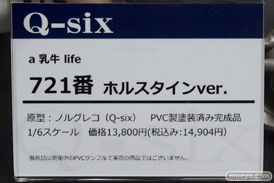 秋葉原の新作フィギュア展示の様子13