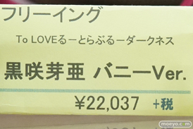 秋葉原の新作フィギュア展示の様子67