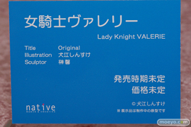 ネイティブ 女騎士ヴァレリー エロ フィギュア 犬江しんすけ 榊馨 13