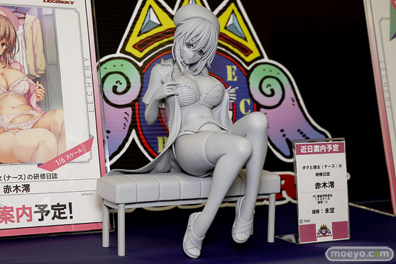 レチェリー ボクと彼女(ナース)の研修日誌 赤木澪 CL エロ っキャストオフ フィギュア 01