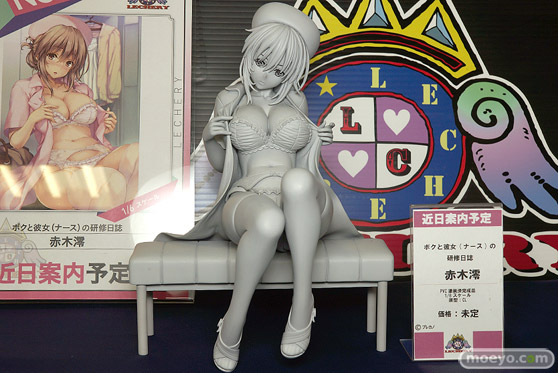 レチェリー ボクと彼女(ナース)の研修日誌 赤木澪 CL エロ っキャストオフ フィギュア 02