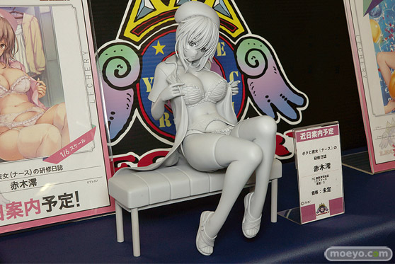 レチェリー ボクと彼女(ナース)の研修日誌 赤木澪 CL エロ っキャストオフ フィギュア 03