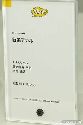 ファット・カンパニー SSSS GRIDMAN 新条アカネ iTANDi フィギュア 10