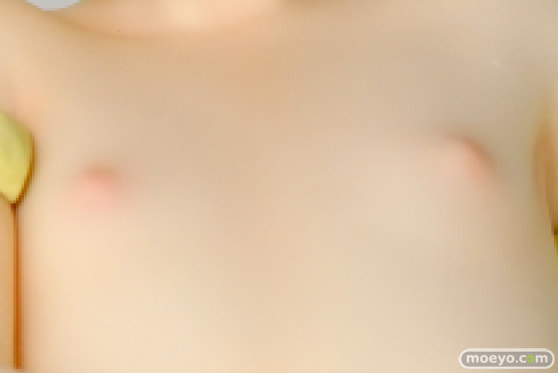 オーキッドシード 国天妙 すぺしゃる パステルマロン illustrated by いぬぶろ フィギュア みんへる エロ 08