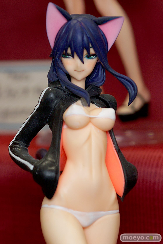 トレジャーフェスタ・ネオin有明3　美少女フィギュア ガレージキット ディーラー SOFTcream カインドオブマジック ana+digi rリターン チェリーブロッサム コブラ会 硫黄泉 青銅CIRCUS 19