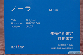 ネイティブ ノーラ 島田フミカネ アビラ エロ フィギュア 14