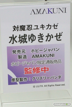 ホビージャパン 対魔忍ユキカゼ 水城ゆきかぜ グリズリーパンダ AMAKUNI フィギュア 10