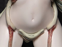 ワンダーフェスティバル 2019［冬］」 様々なディーラーブースの様子「あとりえカルロス」「ゴマ塩ナメルンデス」「フリーフォーリン」