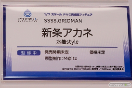 アクアマリン SSSS.GRIDMAN 新条アカネ 水着style フィギュア 榊馨 11