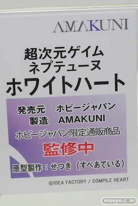 ホビージャパン 超次元ゲイムネプテューヌ ホワイトハート フィギュア AMAKUNI せつき 10