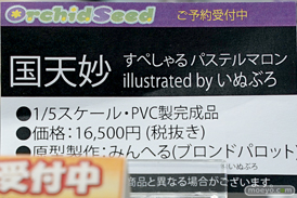 秋葉原の新作フィギュア展示の様子 49